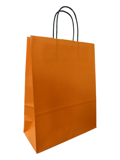 Orange Twist Handle Paper Bags
